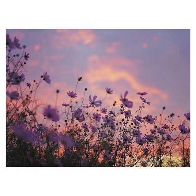 女生霸气高冷句子精选36句，高冷霸气的女生语录