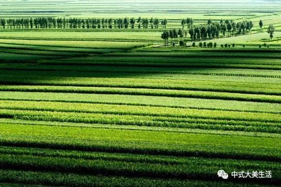 中国大陆濒临的四大海洋，中国的四大海是哪四个（四大高原、四大盆地、三大平原）