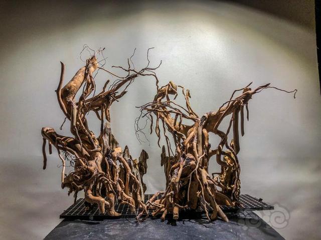 鱼缸底部铺什么好，鱼缸底部铺卵石养什么鱼（如何挑选一个合适自己的鱼缸）