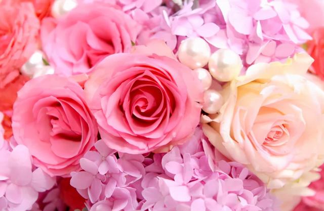 欧舒丹樱花护手霜怎么样，欧舒丹护手霜 樱桃（护手霜界的爱马仕呵护你的第二张脸）