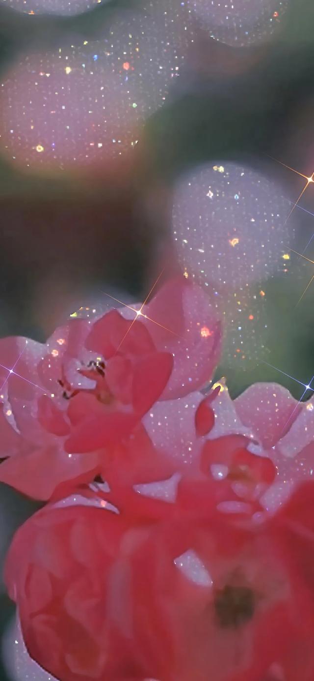 植物，微信头像，植物（清爽夺目的花花世界：）