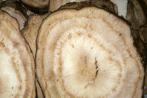 本草图经作者是谁，《本草图经》的作者（芎藭 蘼蕪 藁本）