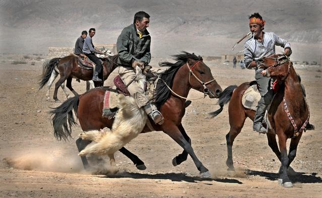 用马字组词有什么，马字组词还有什么（拍马“留序”摄影浅谈）