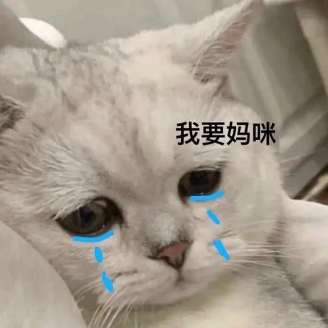 泪奔与泪崩的区别，表情包：泪崩了