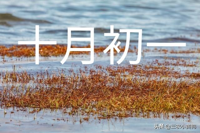 农历10月初一，2022年10月入宅黄道吉日（晴好天气有什么预兆）