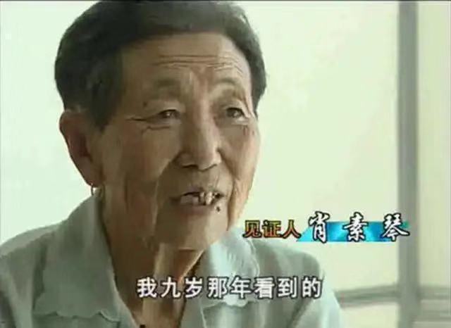 1934年营口坠龙事件，1943营口坠龙事件（70年后专家下结论：须鲸）