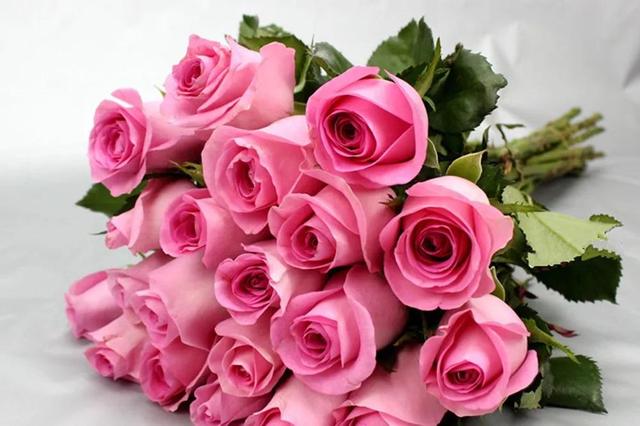 各种玫瑰花的含义，各色的玫瑰花有什么含意（一篇文章认全花店必备80种玫瑰花）