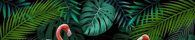 爱需要全心全意 郑源，爱要全心全意郑源（中国内地男歌手、音乐唱作人、词曲创作者郑源歌曲简谱精选）