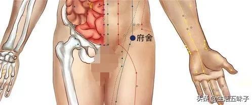 冲门的准确位置及作用，冲门的准确位置及作用图（脾经上重要穴位—舍府穴、冲门穴、箕门）