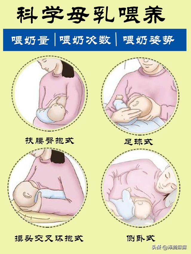正确的哺乳姿势，哺乳的正确姿势（教你最正确的喂奶和衔乳姿势）