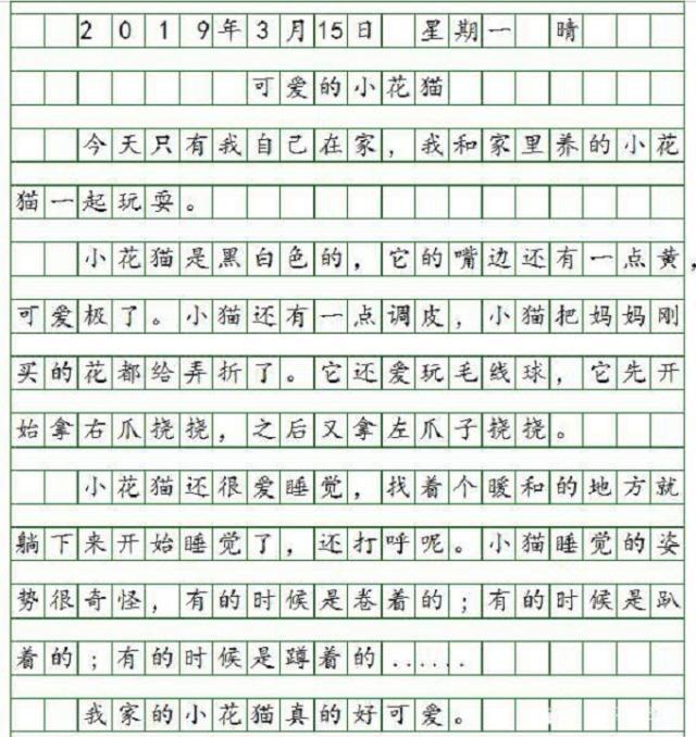 写日记的格式是什么,小学日记的基本格式