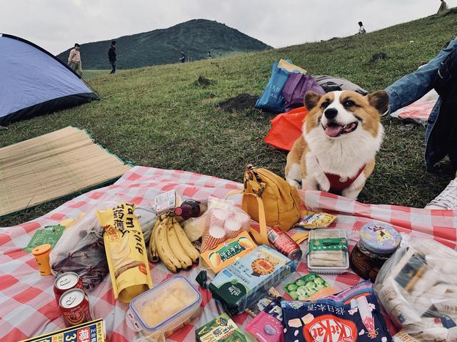 大姆山原生态草原开放了吗，福州辖区内面积最大又鲜为人知的高山草原