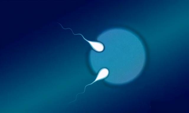 双胞胎一上一下好不好，双胞胎一上一下是龙凤（刷抖音刷到的双胞胎被DNA证实）