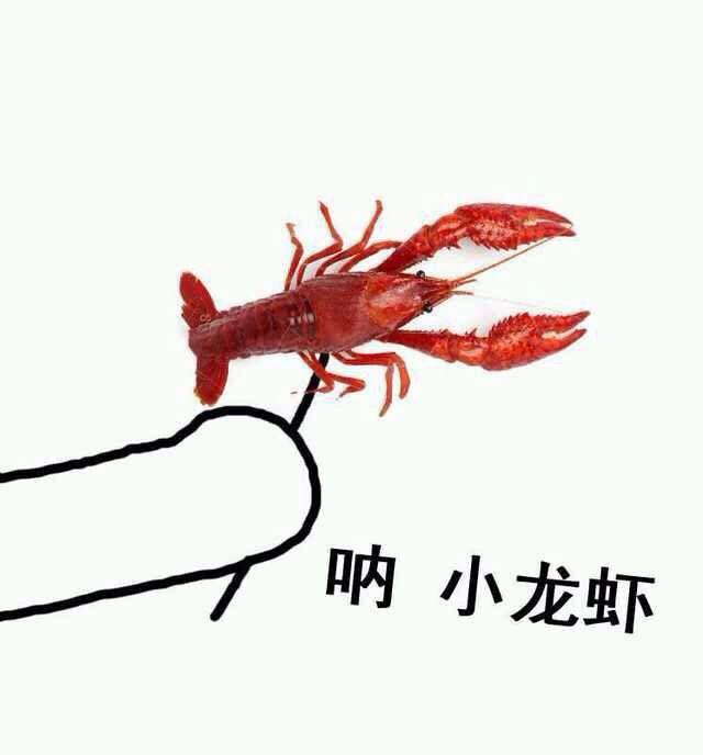 田螺吃哪个部位示范图，田螺的吃法吃那个部位（可能会感染中枢神经）