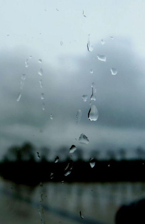 关于秋雨的优美散文，关于秋雨的散文随笔（散文：秋雨浅殇）