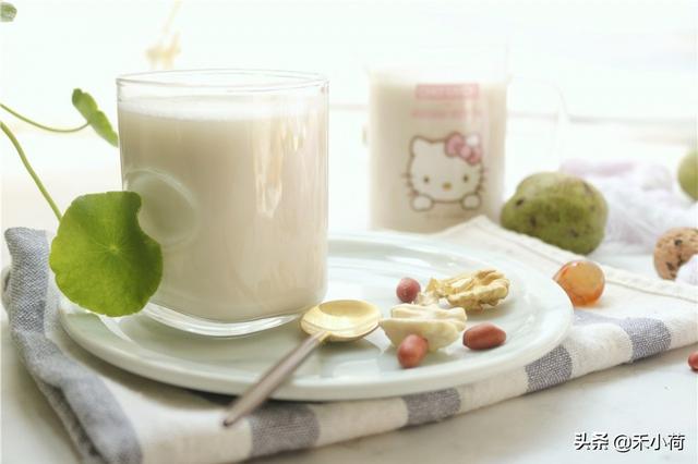 自制花生露怎么做，怎样制作花生露（自制花生核桃露）