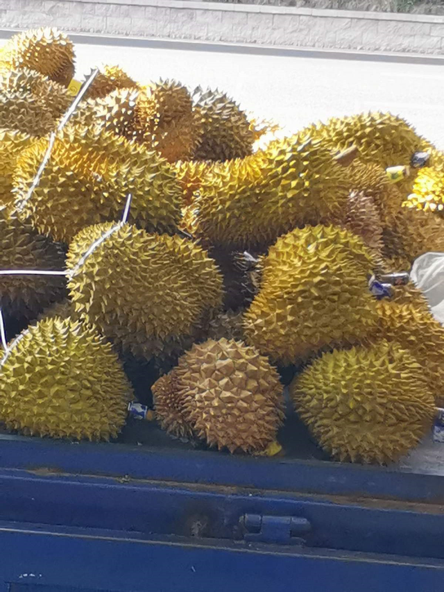 榴莲籽怎么吃最好，榴莲籽怎么吃（他把吃剩的榴莲籽洗干净）