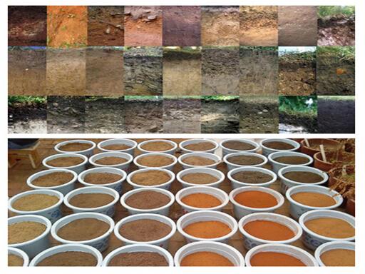 五色土哪里能买到，五色土紫砂壶怎么样（用了地驰素万年流传下来的\