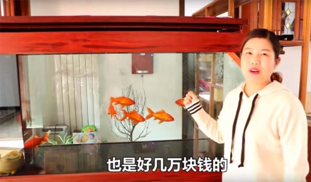 乌金和黄金哪个贵，乌金片和乌金胶囊是一样的吗_什么情况下可以吃乌金片（河南土豪盖的房子光吊灯就要5、6万）