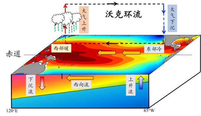 拉尼娜事件是什么意思 为什么会有拉尼娜,拉尼娜事件是什么意思(为什么它可以影响全球气候呢) 拉尼娜事件是什么意思 为什么会有拉尼娜,拉尼娜事件是什么意思(为什么它可以影响全球气候呢)