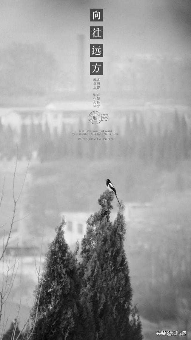 12个月都有什么情人节，二月没过情人节的今天补上