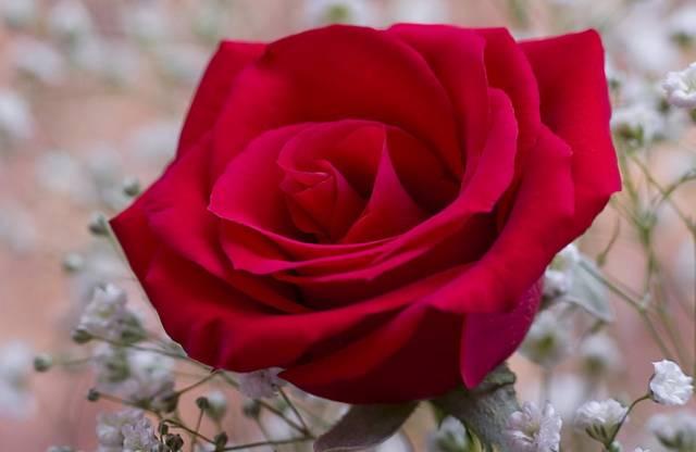 背景图  我喜欢你 天地可鉴，背景图ins风高级质感带字（明天520，致我最爱的人）