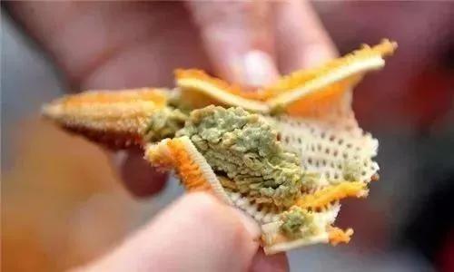 海星可以吃吗，油炸海星可以吃吗（是一种棘皮动物。海星能吃）