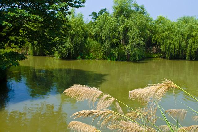 杭州必去的景点，杭州旅游必去景点推荐（杭州旅游十大必去打卡景点）