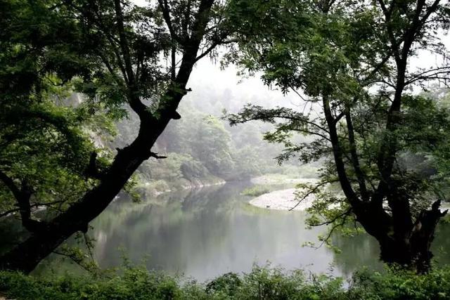 甘肃陇南女人特点，陇南的特点（甘肃最漂亮的14个美女）