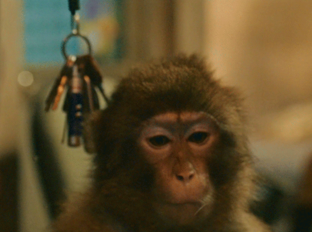 疯狂的外星人票房，疯狂的外星人国外票房（疯狂的外星人票房冲破16亿）