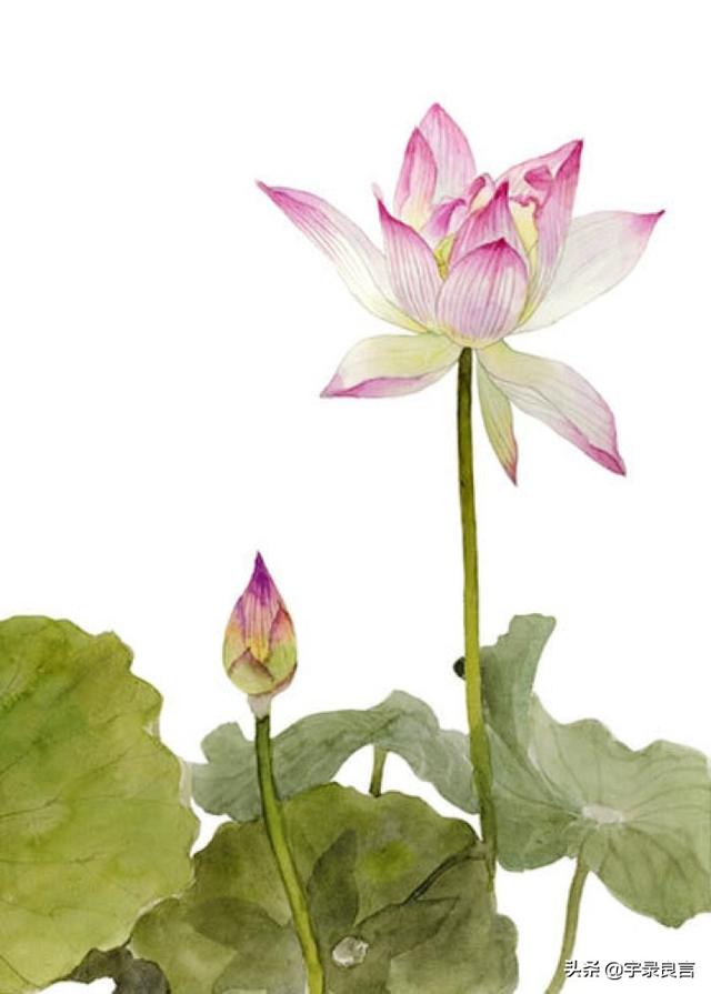 何必作贱自己的说说，说自己是贱人的说说（挤不进的世界不要硬挤）