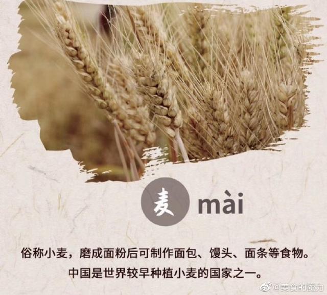 五谷丰登指的是哪五谷，五谷丰登是哪五谷（你知道“五谷丰登”是哪“五谷”吗）