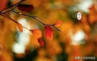 秋分祝福短信，金秋祝福短信（明日秋分，祝福送给您）