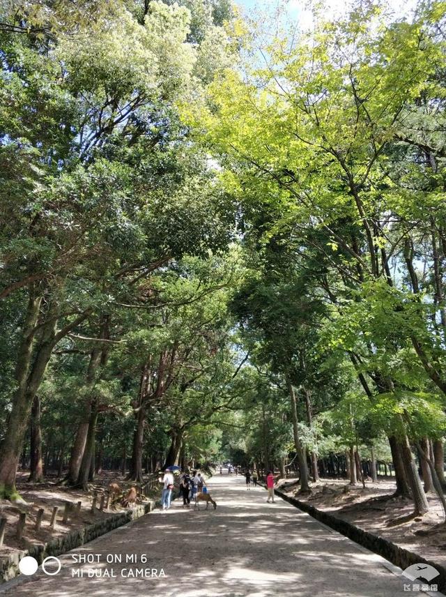 国航最高级别什么卡，国航白金卡什么级别（经济舱也能享受贵宾室、提前选座等权益）