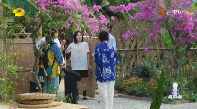 向往的生活开局推到张子枫，张子枫是谁推荐到向往的生活（《向往的生活4》张子枫被疑社恐）