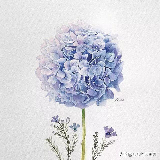 简单的花怎么画，玫瑰花画法（3个简单步骤教你画出一朵小花花）