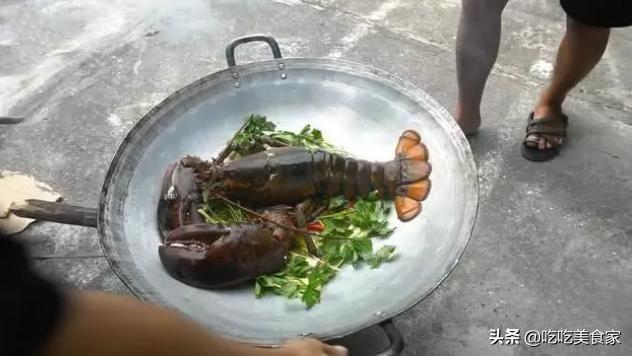 大龙虾蒸多长时间，清蒸波士顿大龙虾蒸多少分钟（小伙1500元买了只龙虾）