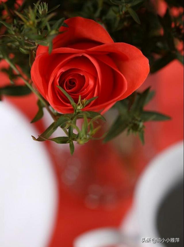 西方情人节祝福语大全，西方情人节快乐（2月14日，祝你情人节快乐）