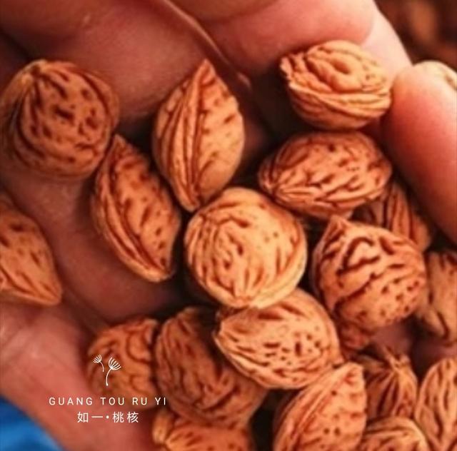 桃核是辟邪还是招鬼，桃子的桃核可以辟邪吗（我的文玩新宠——桃核手串）