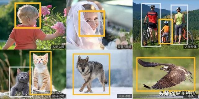 松下相机怎么样，聊一款性价比愈发突出的松下Lumix