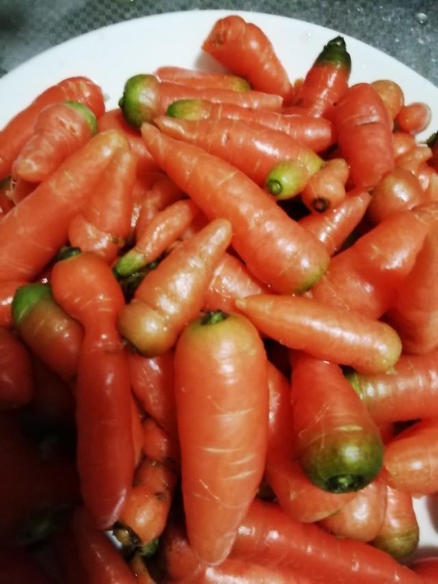 松果（松果儿喷血图，有\