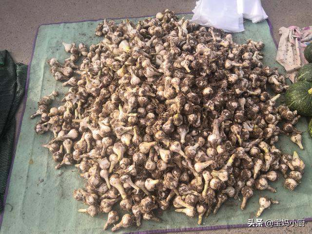 怎么样腌咸蒜好吃，自己动手腌咸蒜（实拍内蒙农村腌咸蒜）