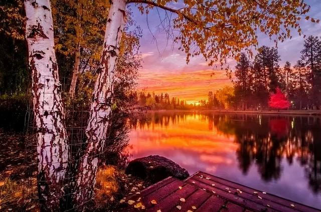 冬夜诗词，冬夜诗词原创（为爱深红似落花）