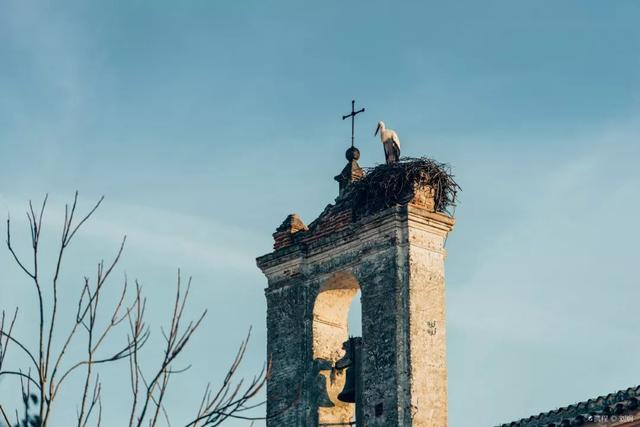 墨西哥娃娃岛的基本资料，墨西哥有个娃娃岛，你敢来吗