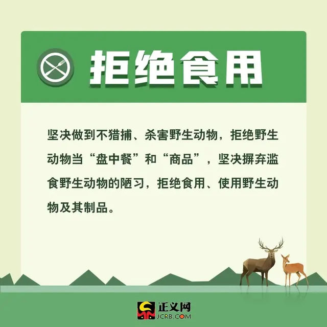 保护动物的方法，保护野生动物，你应该这样做
