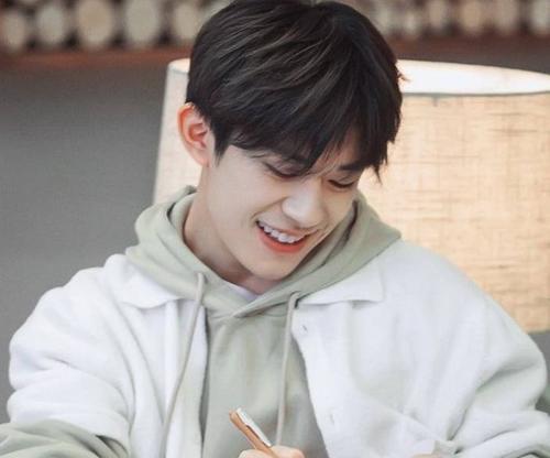 政协委员中为什么有那么多的明星，为什么明星都是政协委员（被央视点名表扬的6位明星）