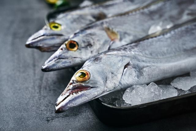 中国最好的带鱼产自哪里，中国哪里盛产带鱼（记住选择“三小一厚”）