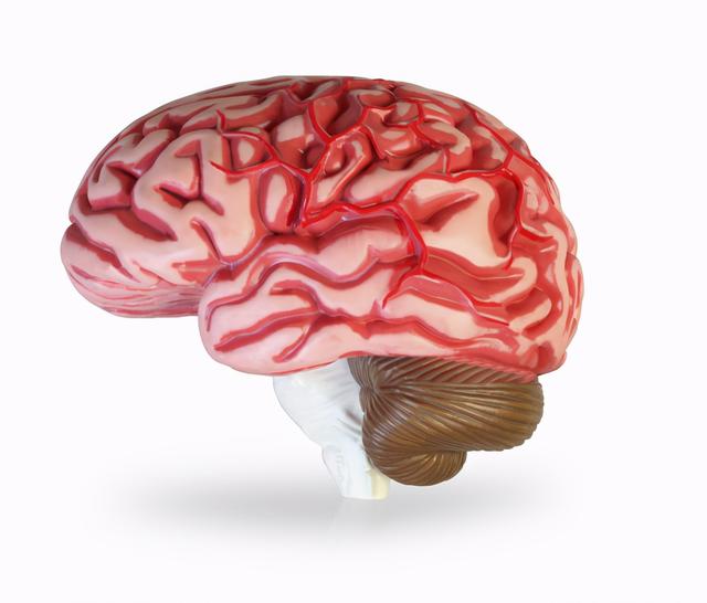 甘露聚糖酶，甘露聚糖酶生产厂家（LCH具有较明显的异质性）