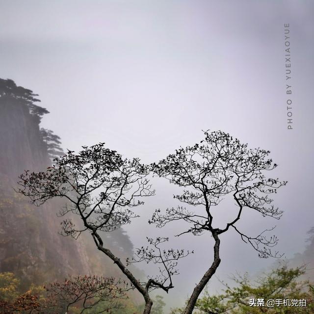 轻烟老树寒鸦什么意思，轻烟老树寒鸦前面一句是什么（不妨跟着“古诗”拍拍看）