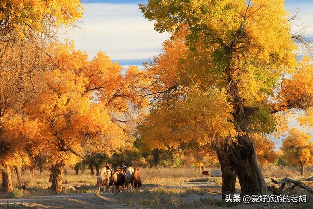 秋季旅游景点推荐，中国十大赏秋胜地推荐（秋天旅游一定要去的3个景区）